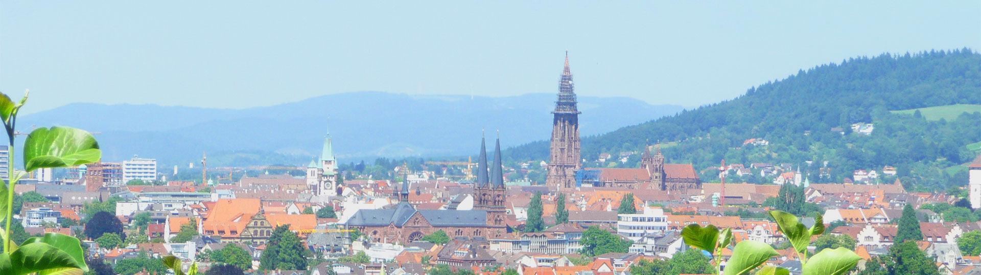 Blick auf Freiburg im Breisgau